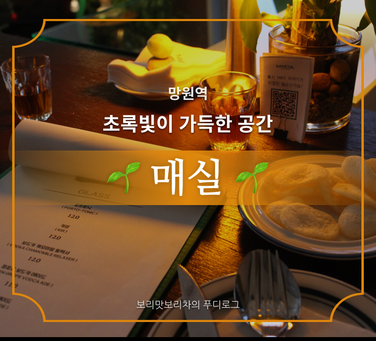 매실(maesil) 이미지