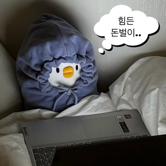 더오리 이미지