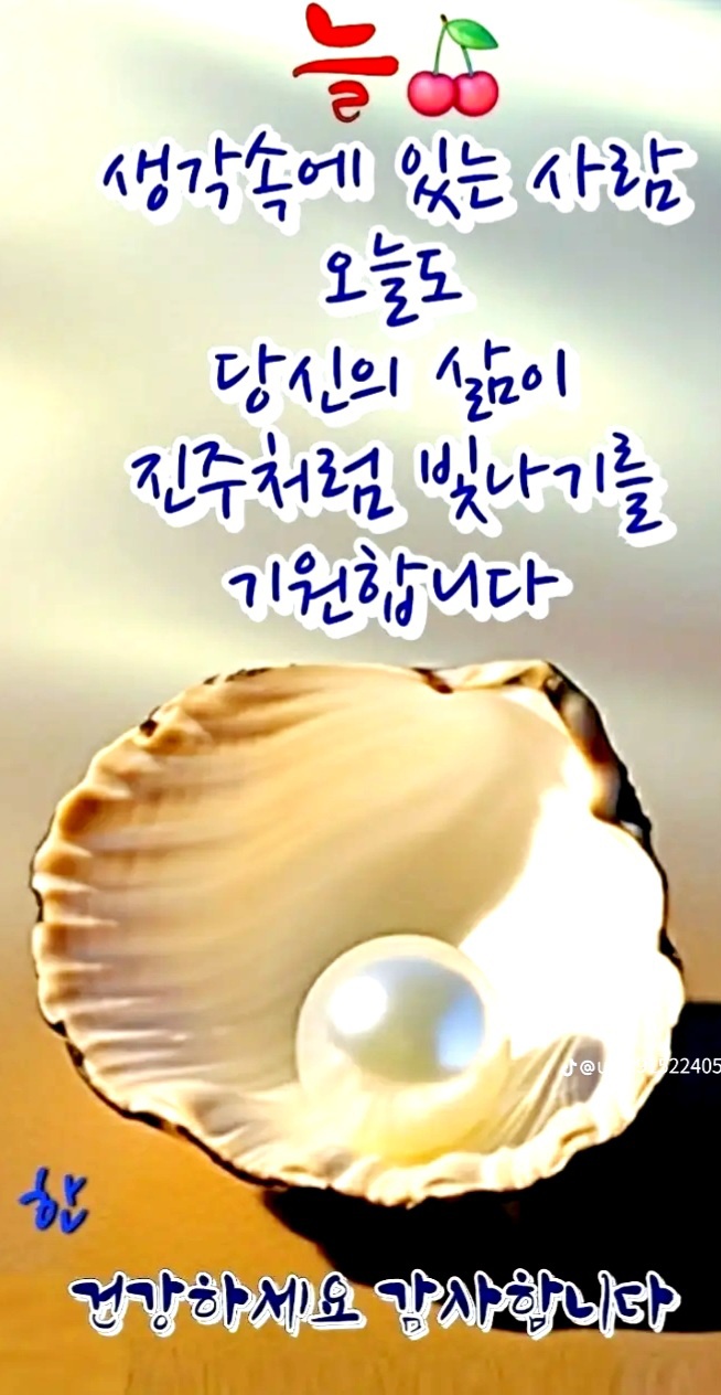 수지상사 이미지