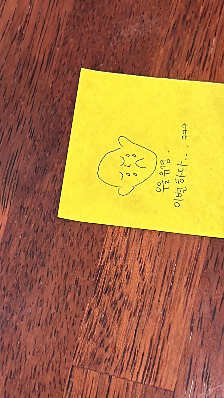 우라우라 이미지