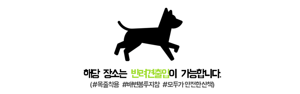 진루아쏘 이미지