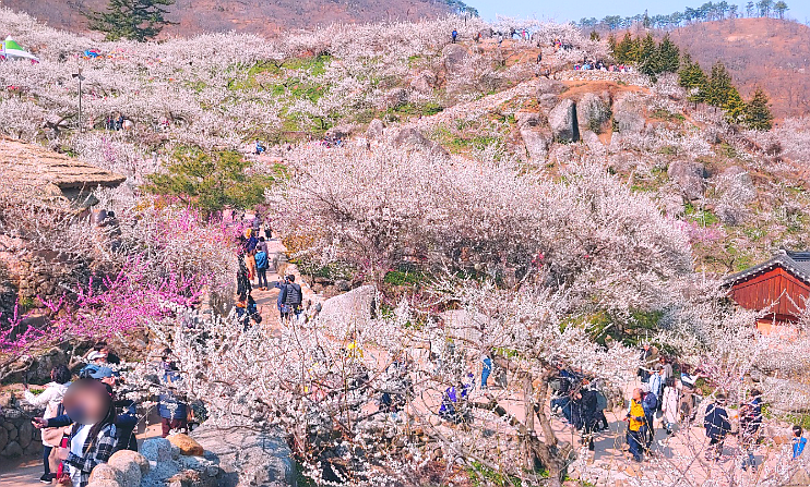 (주)삼성여행사 이미지