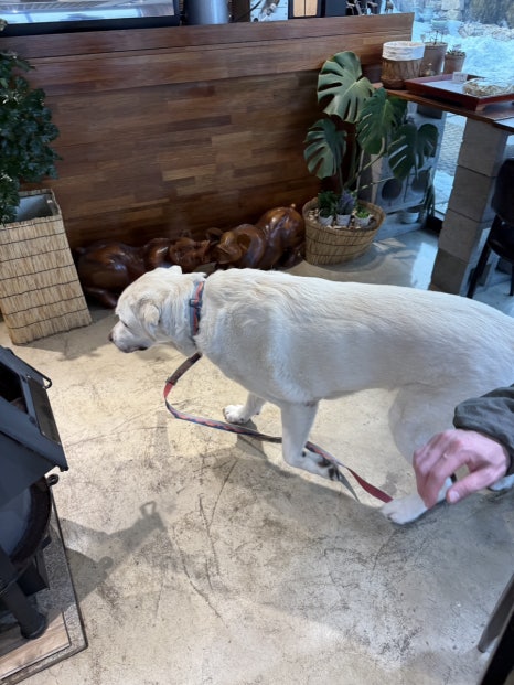 대추나무집 이미지