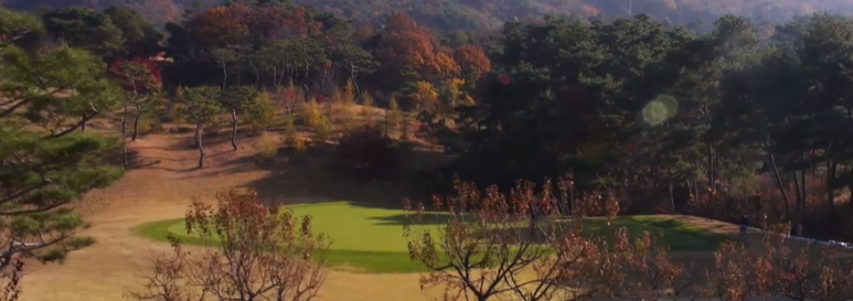 스카이엔지니어링주 이미지