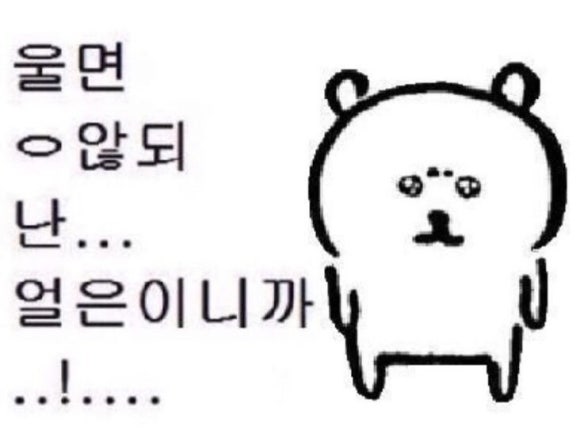 뉴욕라츠오베이글스 이미지