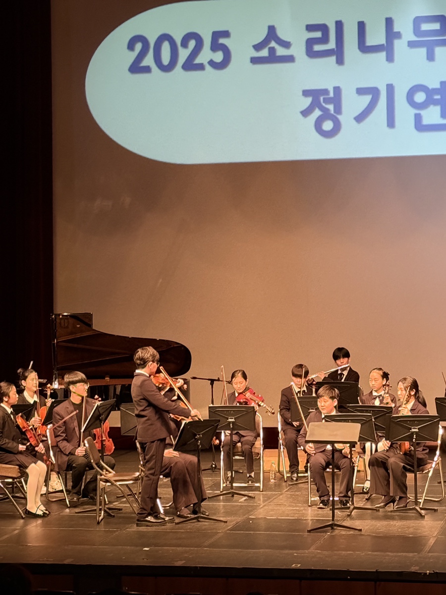 챔버오케스트라음악학원 이미지