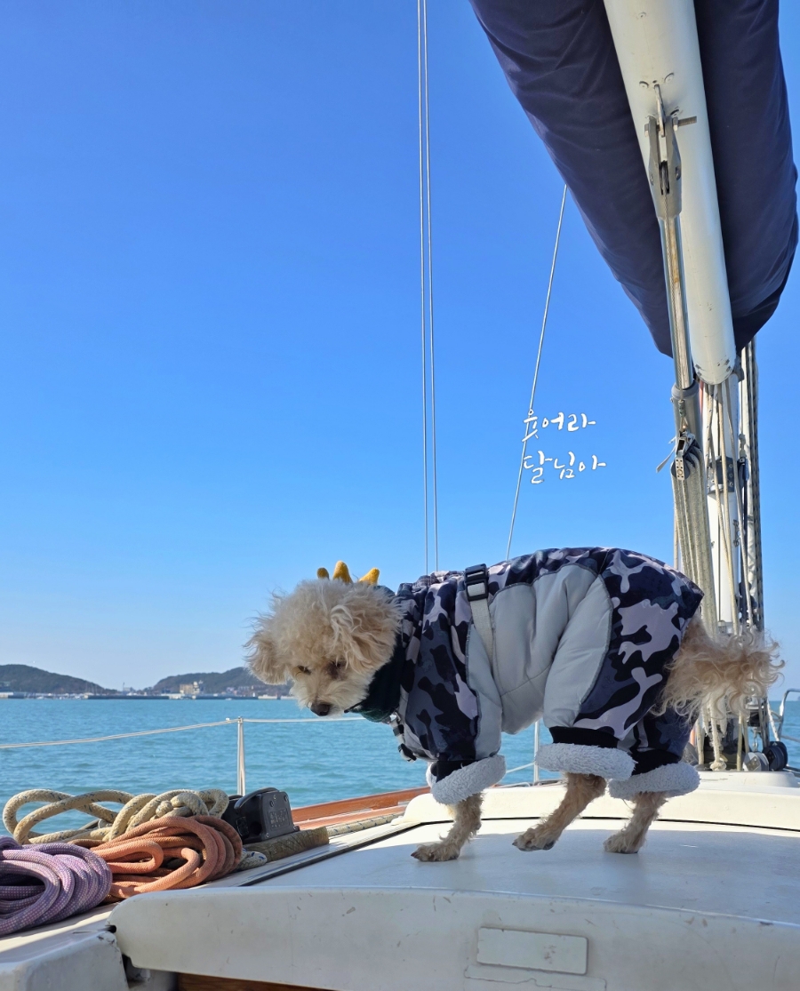 첫걸음요트클럽 이미지