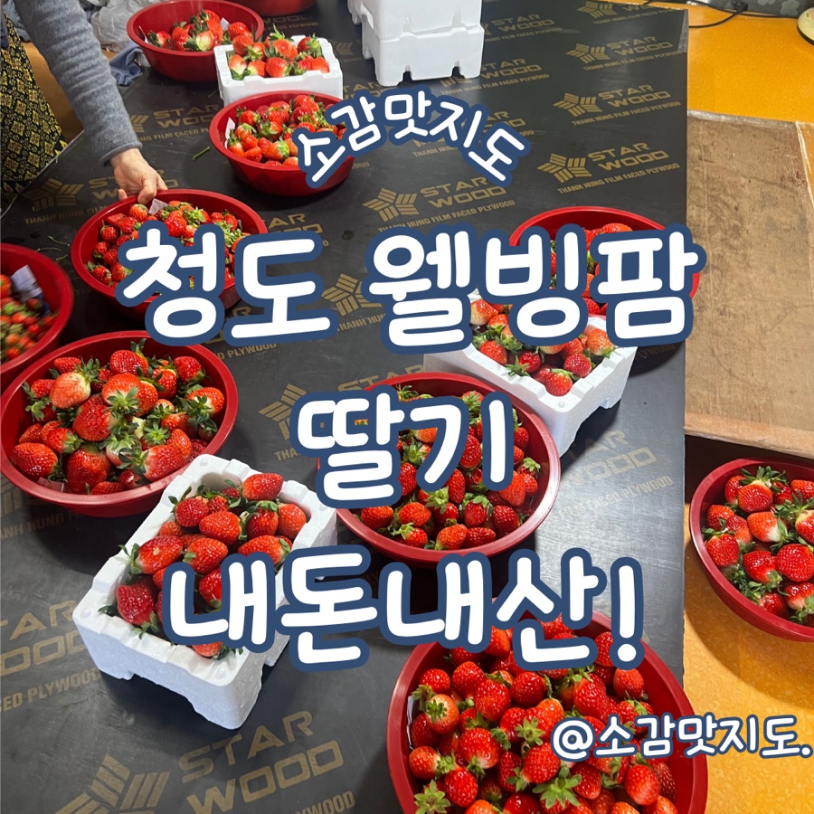 웰빙팜 이미지