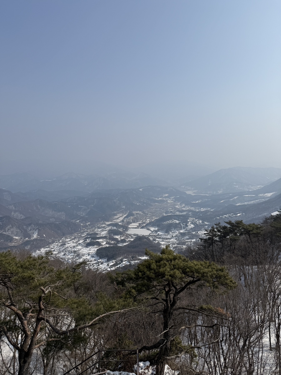 대추나무집 이미지