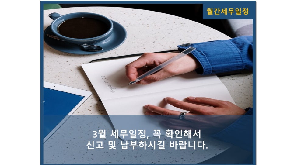 세아회계법인 이미지