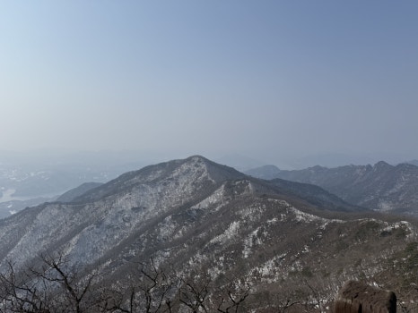 대추나무집 이미지