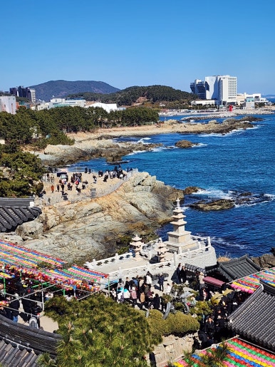 해동돼지국밥 이미지