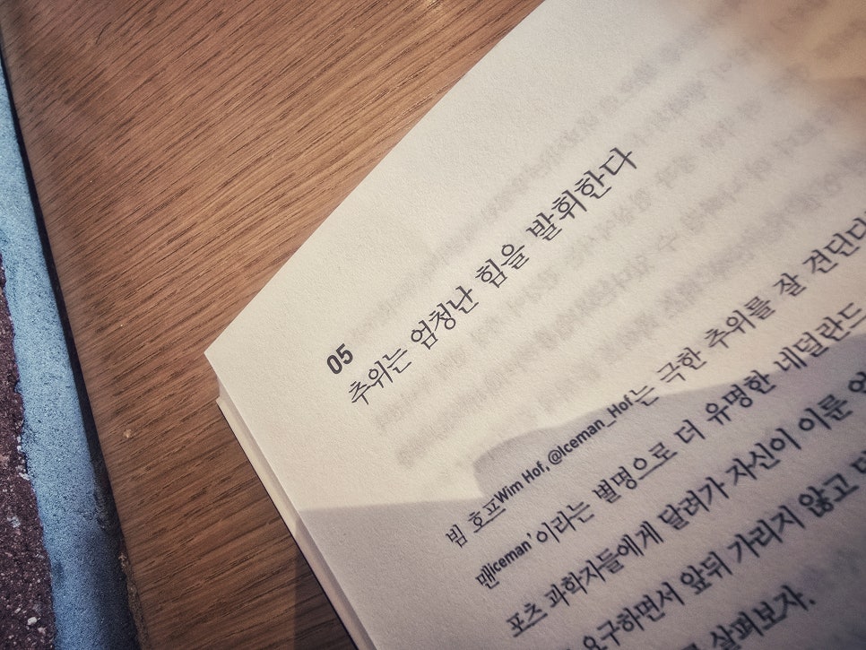 슈가북 이미지