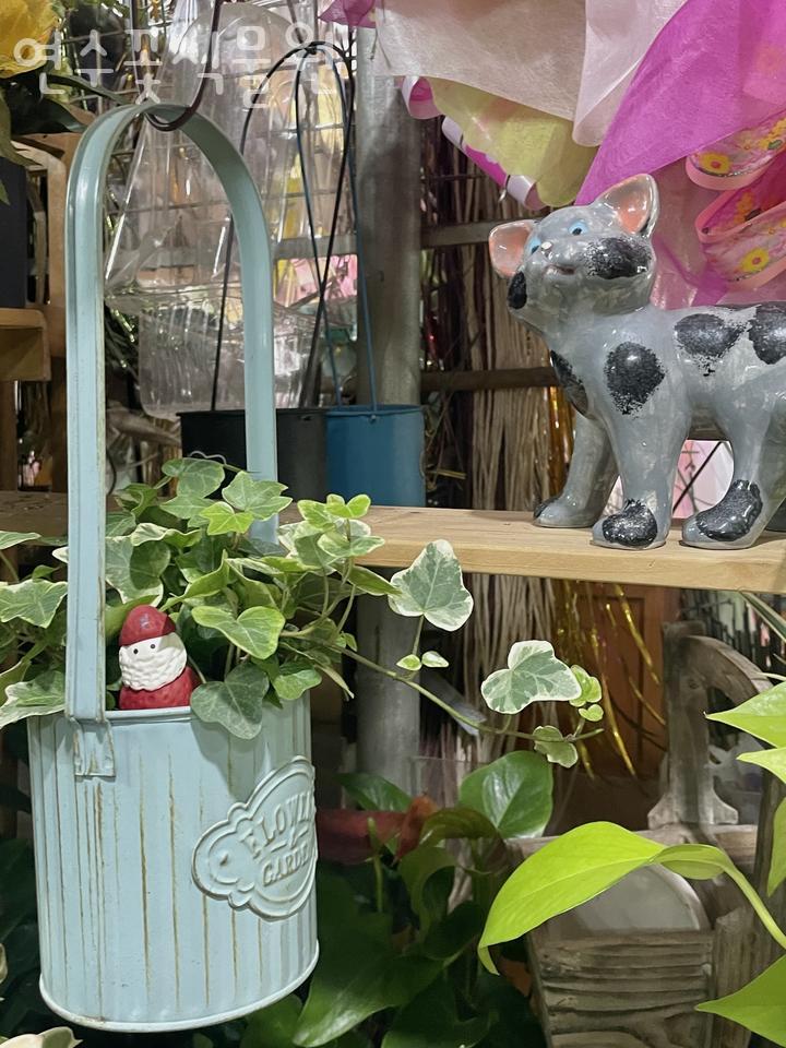 연수꽃식물원 이미지