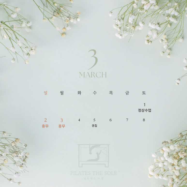 더쏠 이미지