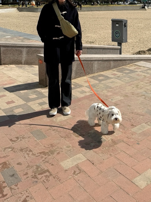 미미세탁소 이미지