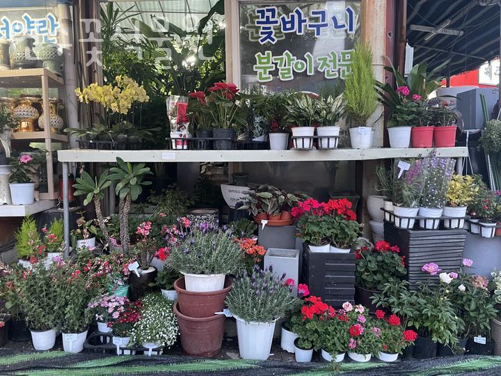 연수꽃식물원 이미지
