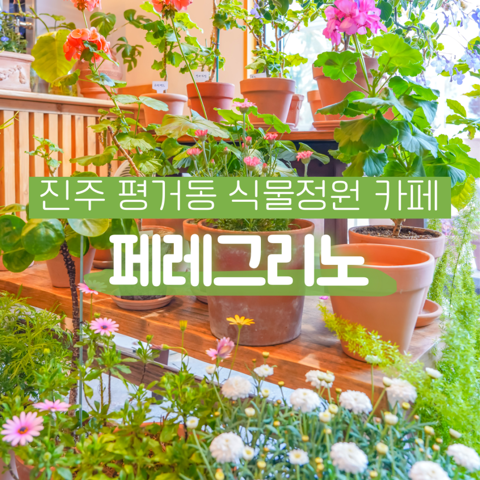 페레그리노 이미지