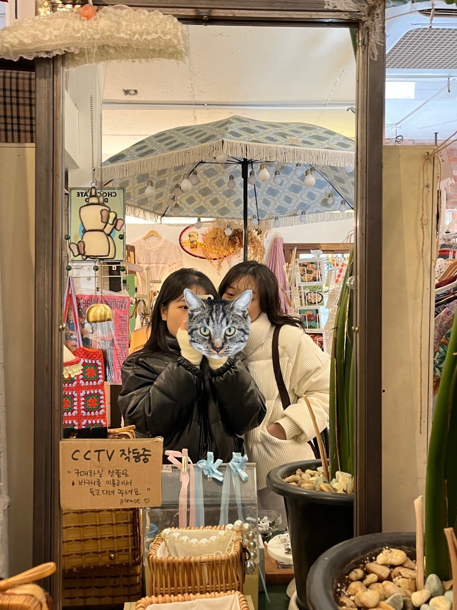 라비욘 이미지
