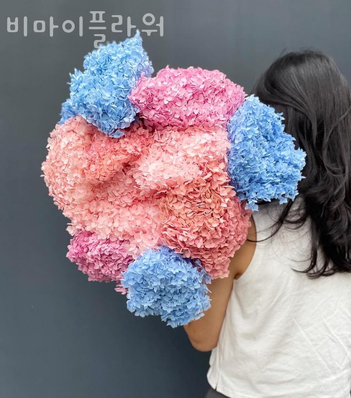 비마이플라워 이미지