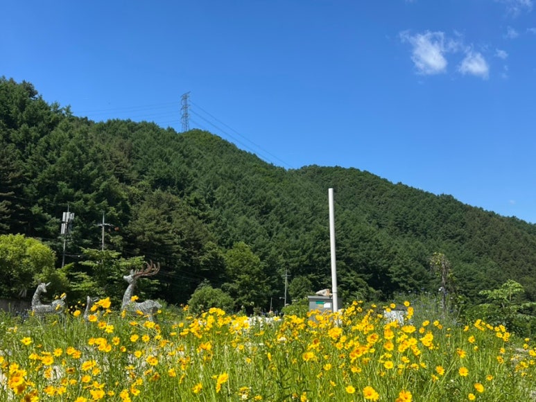 산으로간니모 이미지
