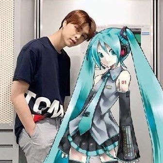 해면 이미지