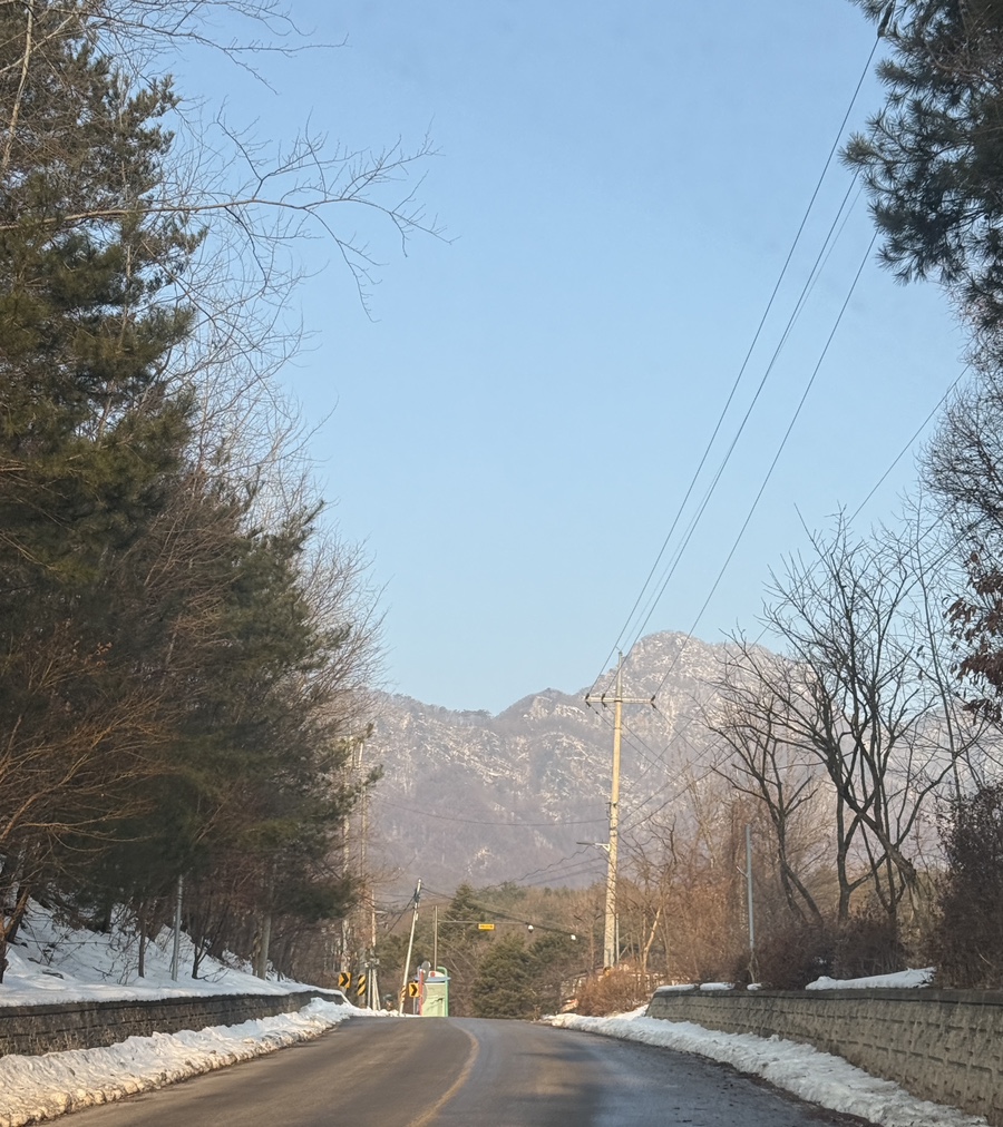 대추나무집 이미지