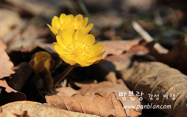 박*철 이미지