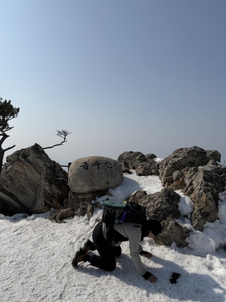 대추나무집 이미지