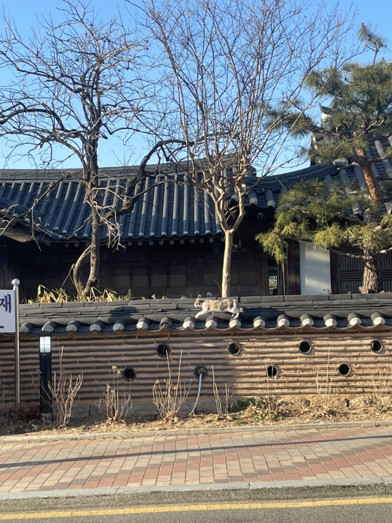 흥동마루횟집 이미지
