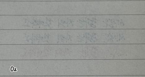 시그노 이미지
