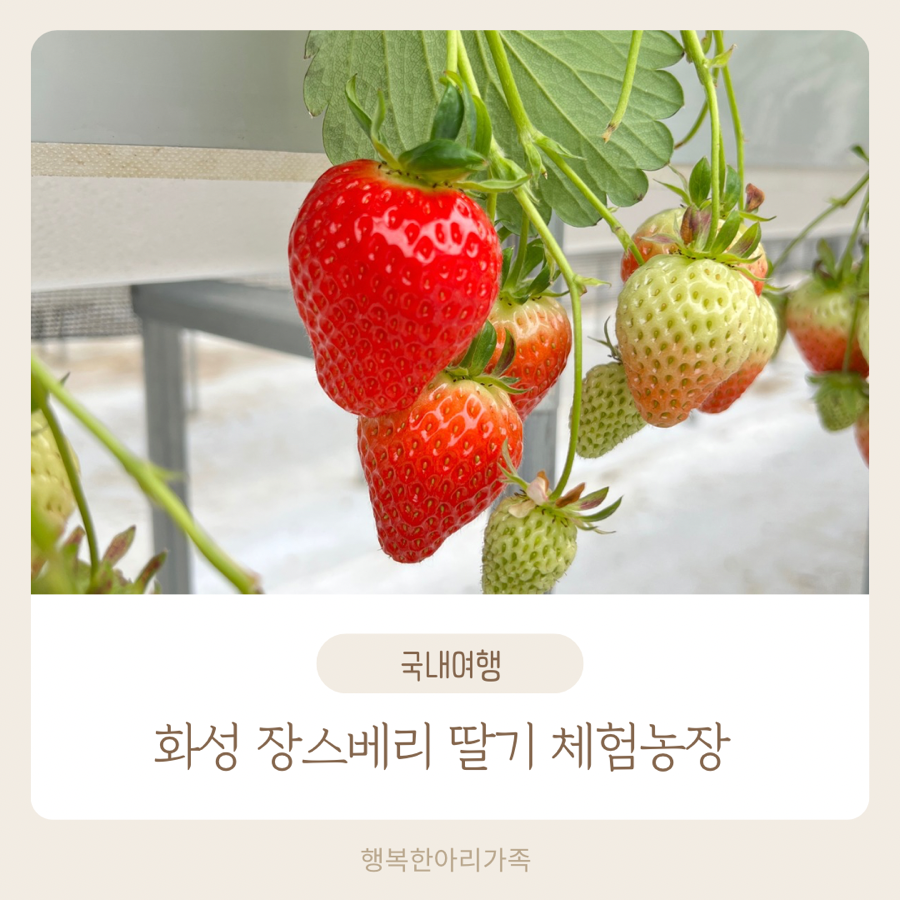 장스아이스크림 이미지