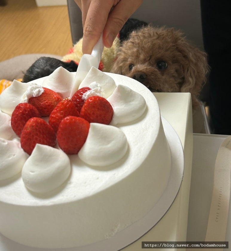 한스케익용산 이미지