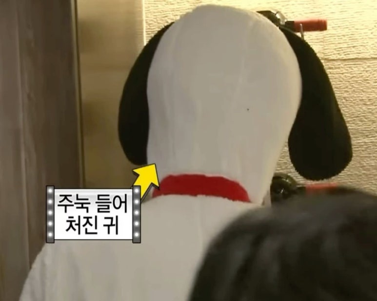맑은바람 이미지
