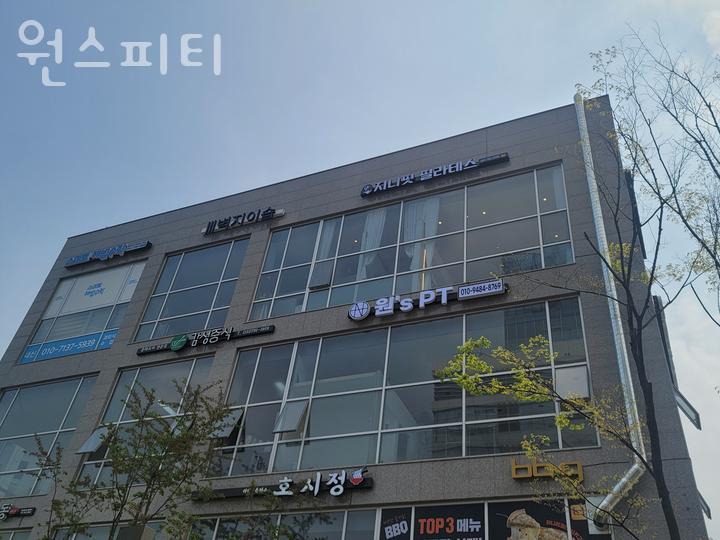원스피티 이미지