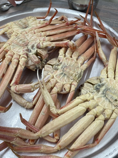 순양호영덕대게직판장 이미지