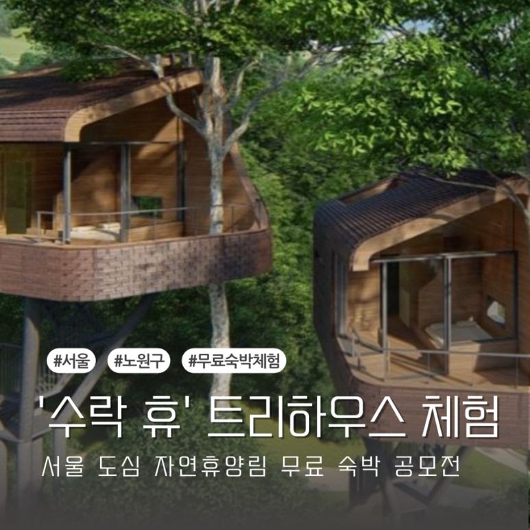 수락숲이랑 이미지