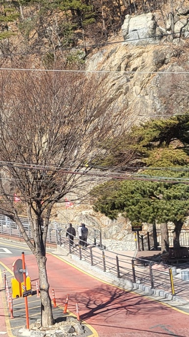 누리카츠 이미지