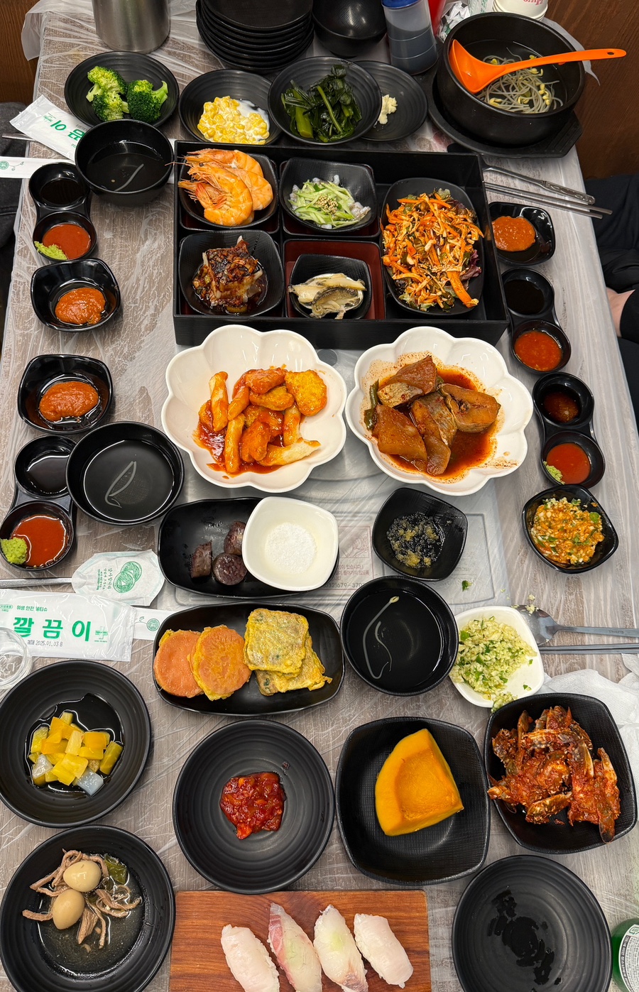 돌고래회 이미지