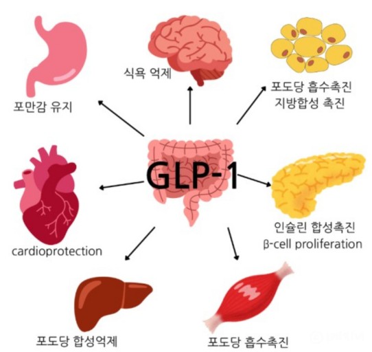 웰니스스포츠 이미지