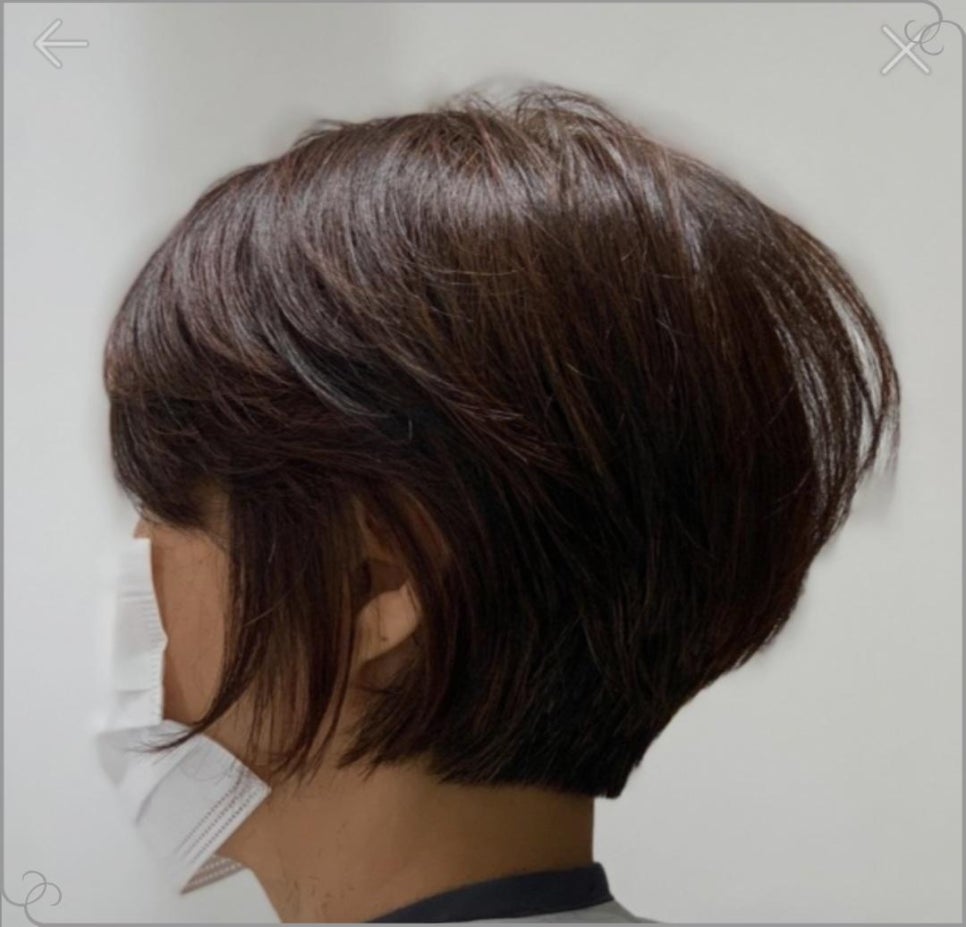 벨루스헤어 이미지