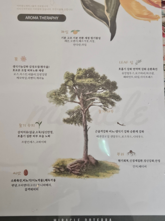 도테라오일클래스&티카페 이미지