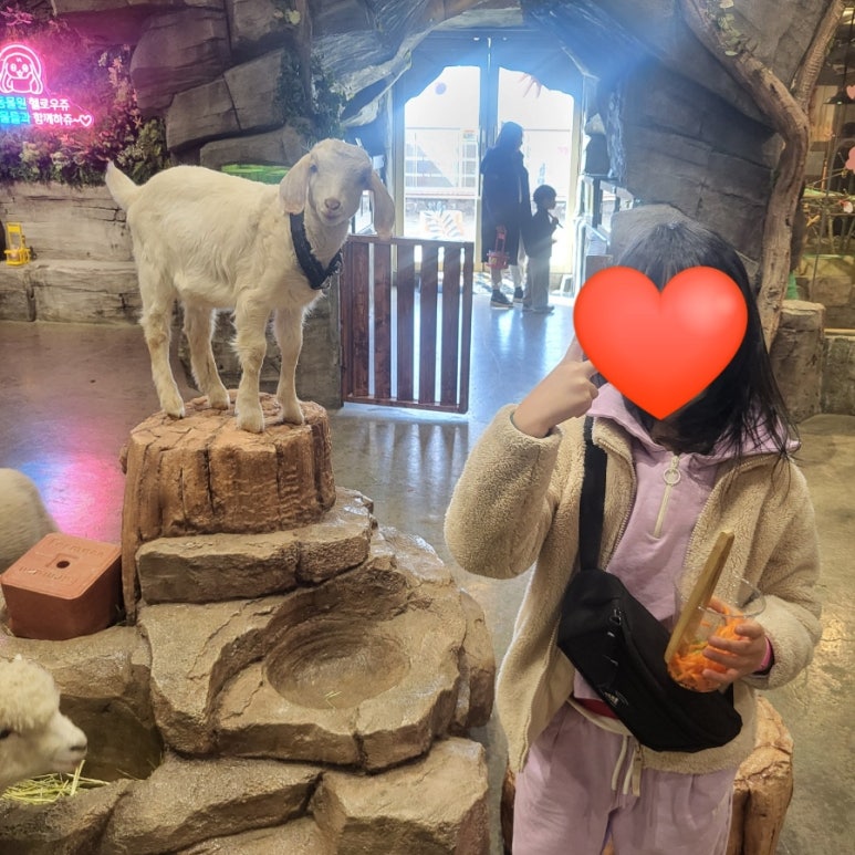 헬로우쥬 카페 이미지