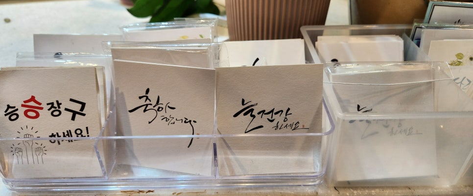 플로리움 이미지