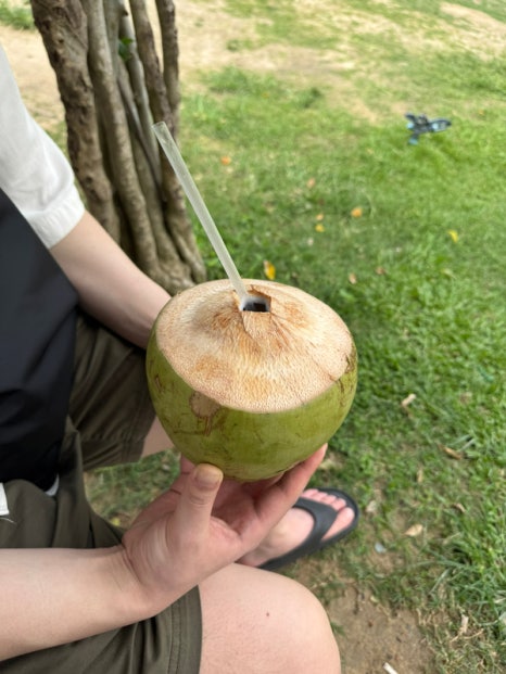 박 이미지