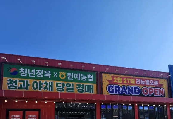 청년정육 이미지