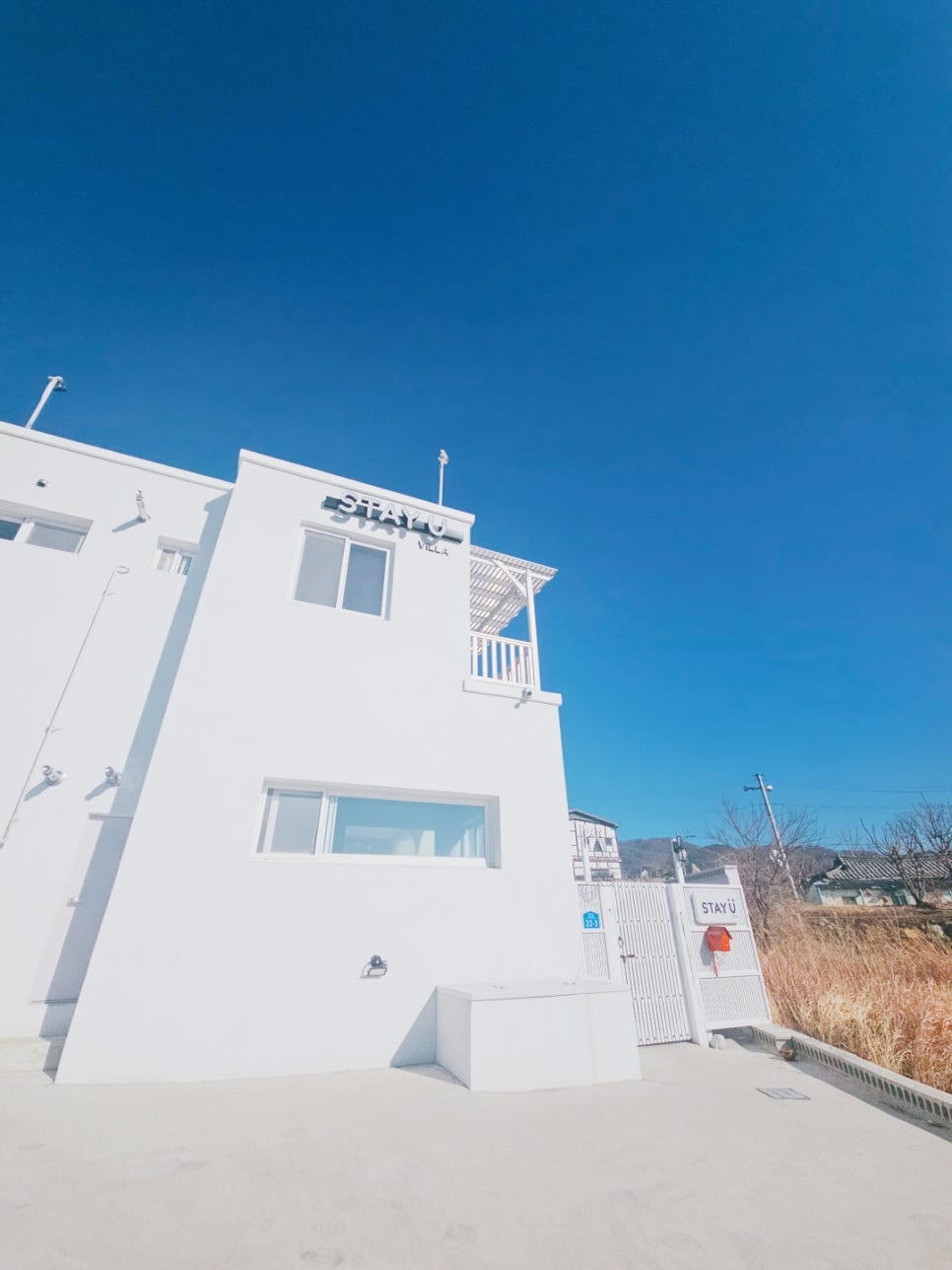 스테이유 이미지