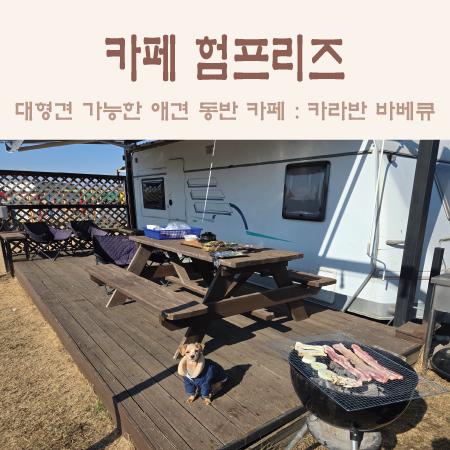 카페험프리즈 이미지