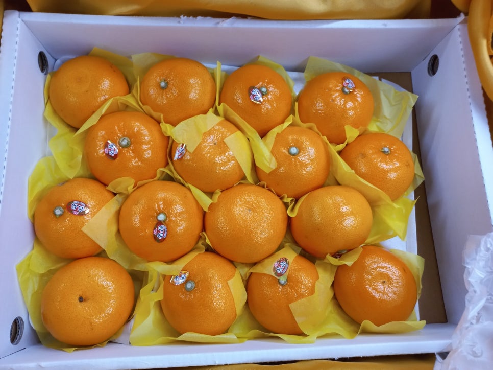 예담간호학원 이미지