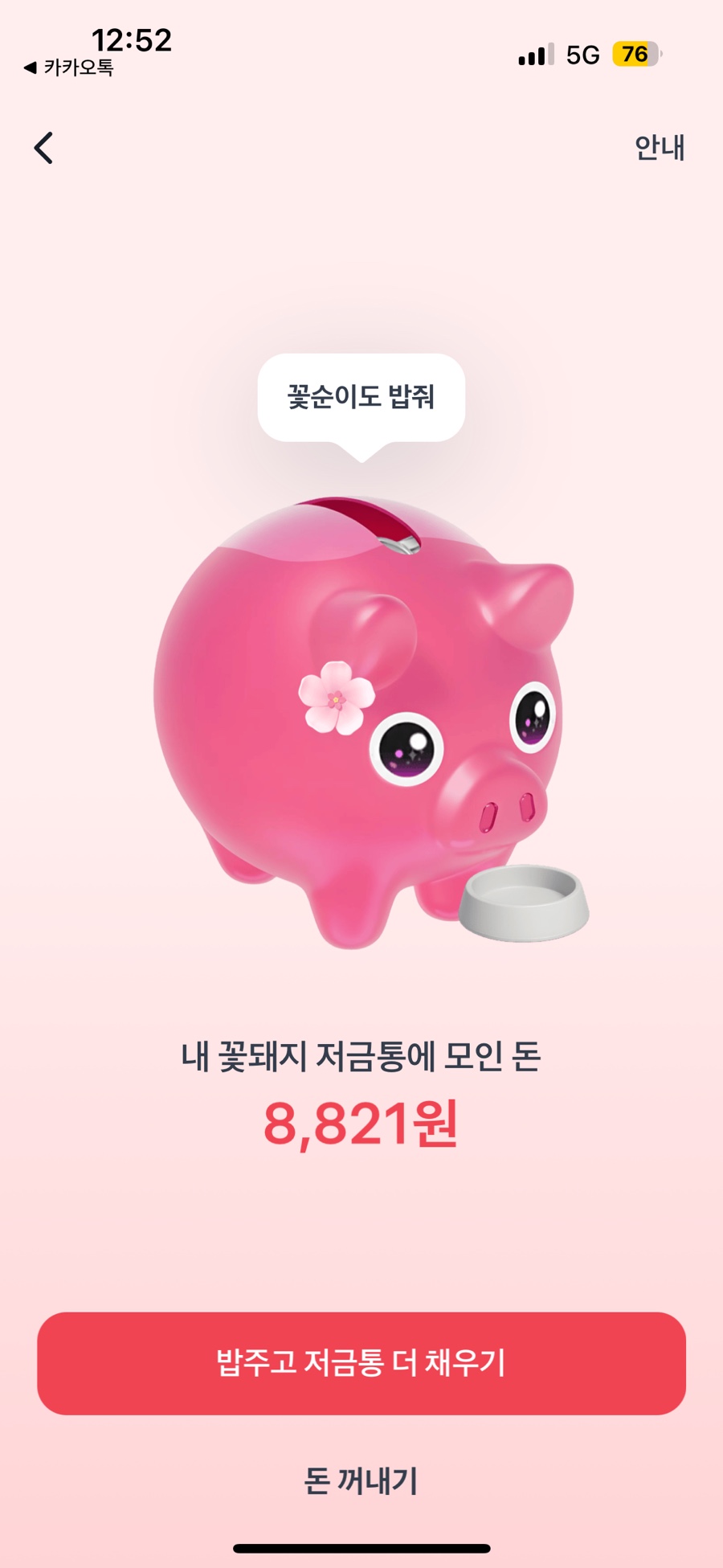 꽃돼지세상 이미지